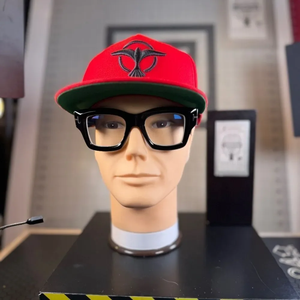 Tiësto®  |  SNAPBACK HAT  |  DUTCH DJ  |  NEW  |  RARE!  |